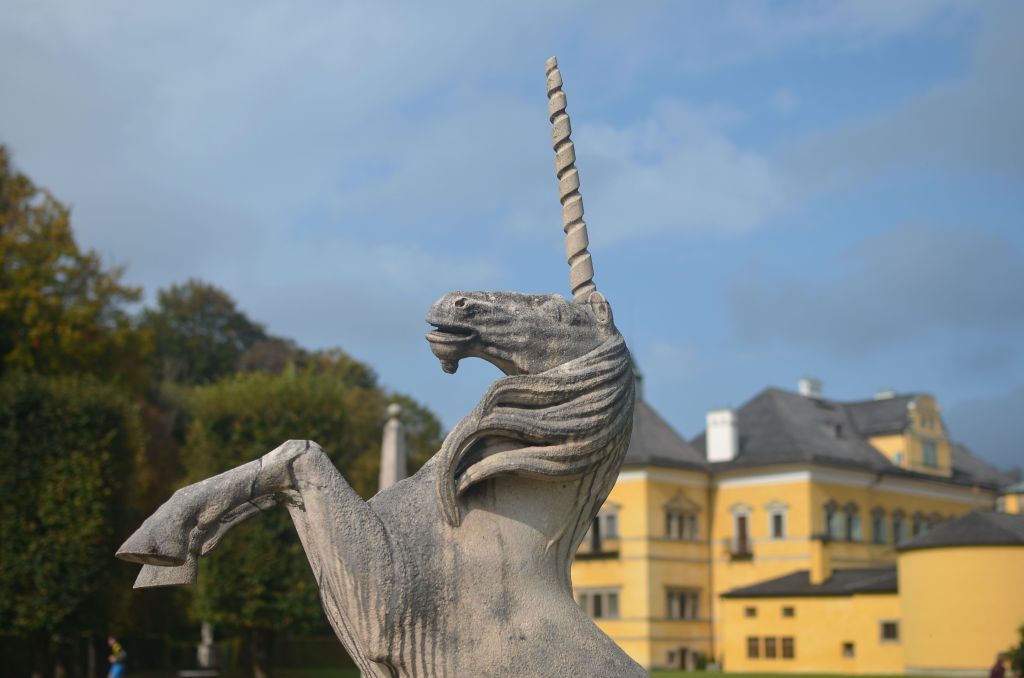 DSC 3118 01