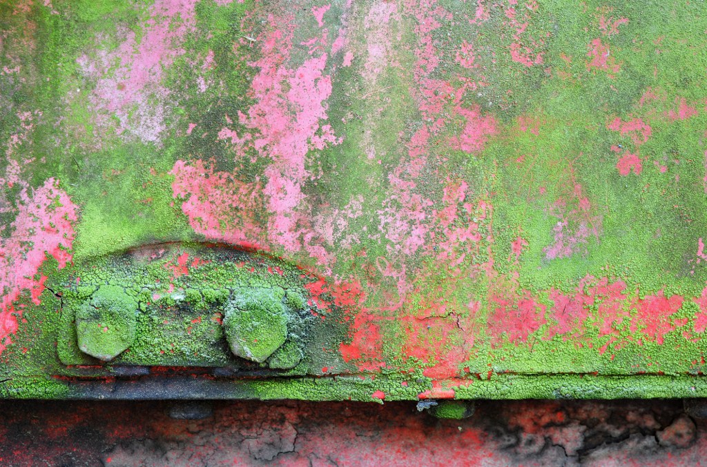 DSC 3224 2nf