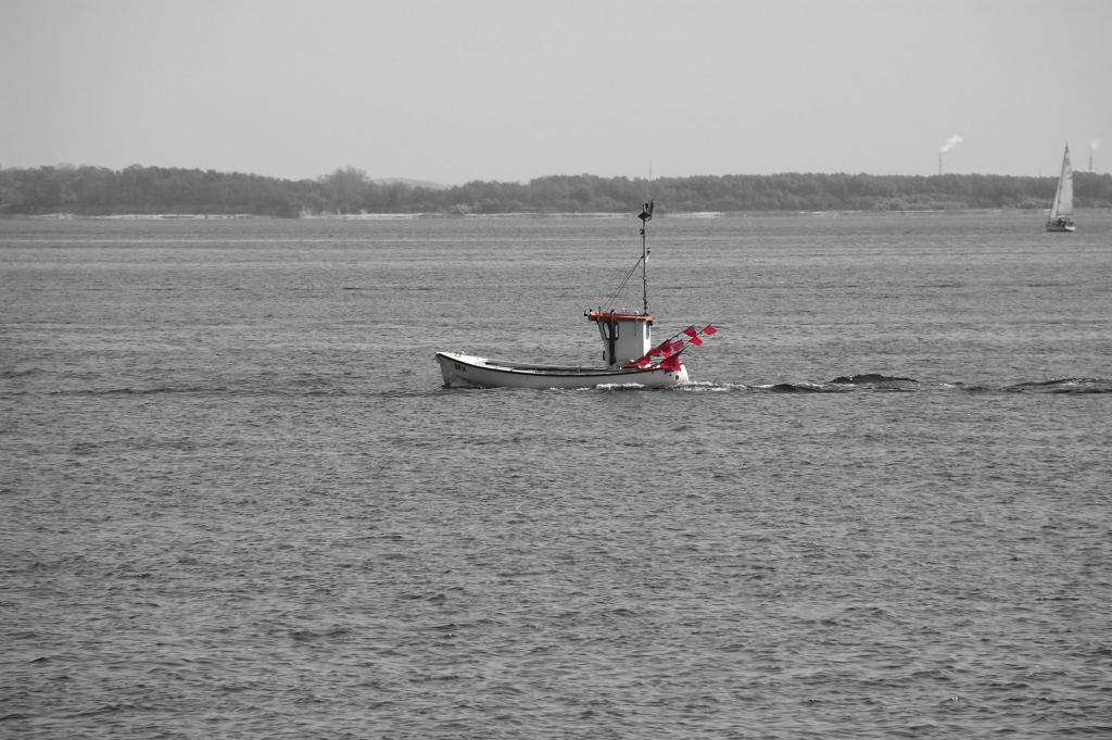 DSC 3312 CK