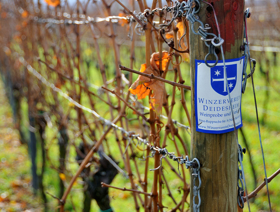 DSC 3327 Schild Winzerverein