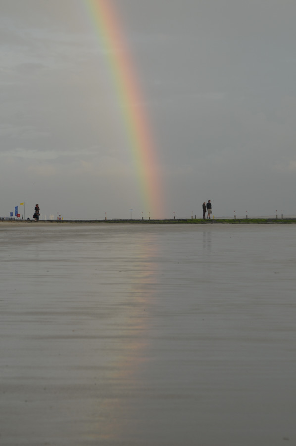 DSC 3387 261