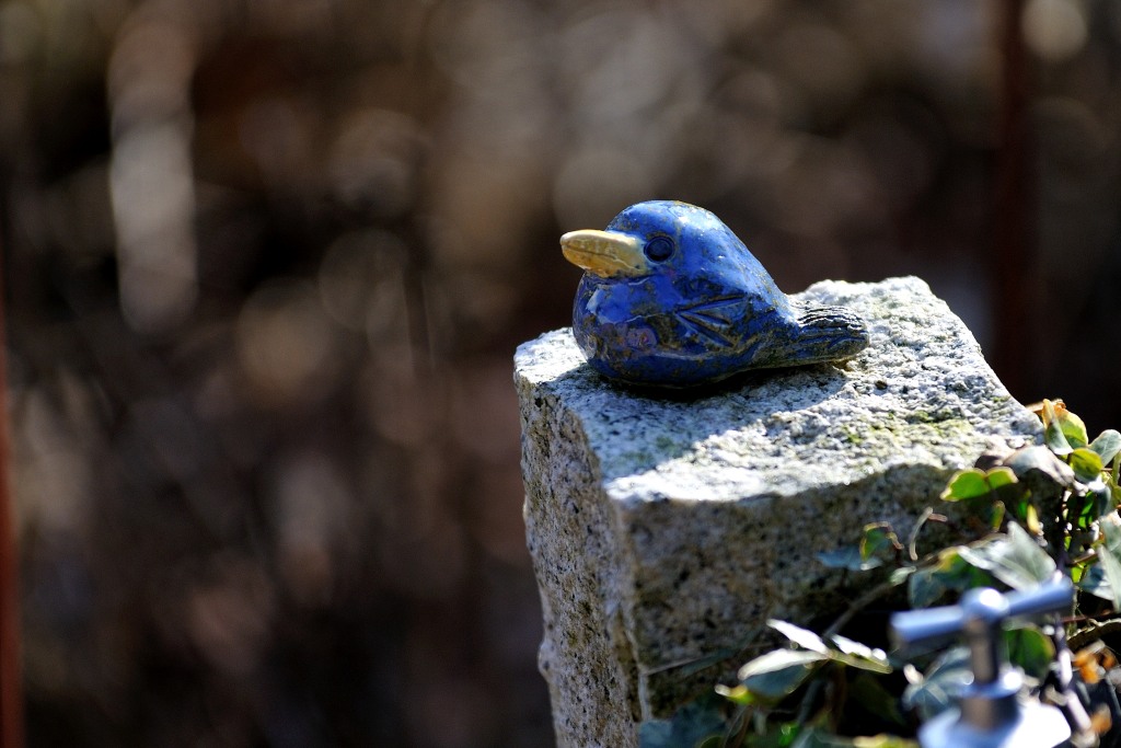 DSC 3397
200mm, 1/1600, 1:2.8, ISO 200
