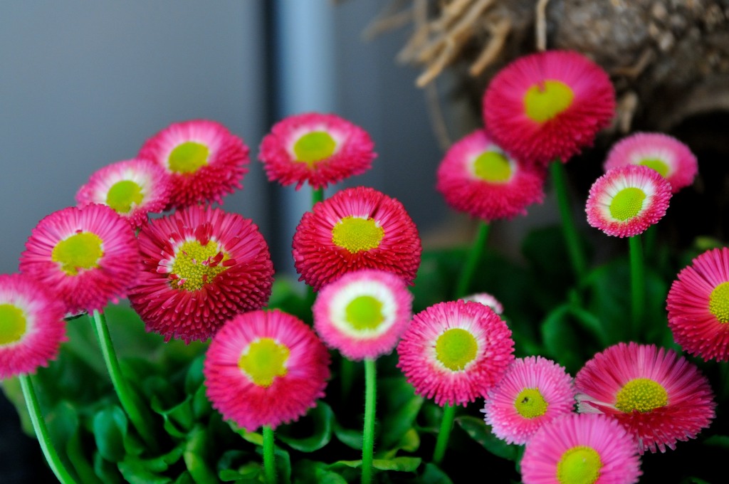 DSC 3422
200mm, 1/30, 1:2.8, ISO 800