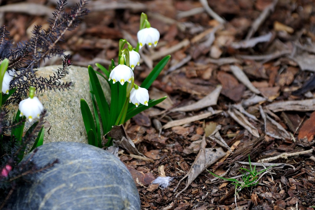 DSC 3427
200mm, 1/400, 1:2.8, ISO 200