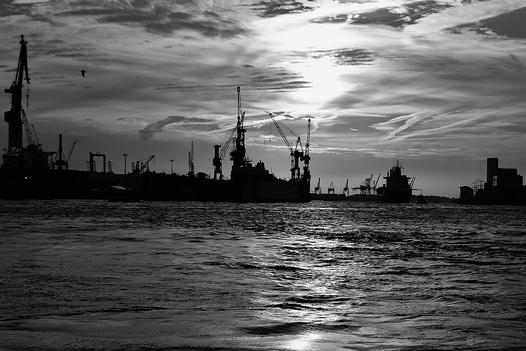 DSC 3473sw