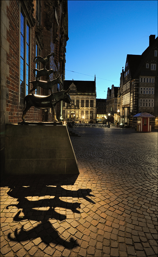 DSC 3479 Kopie 900