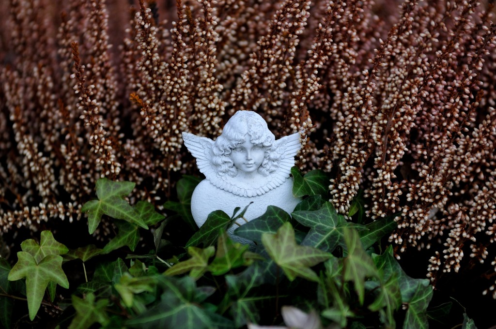 DSC 3484
200mm, 1/640, 1:2.8, ISO 200