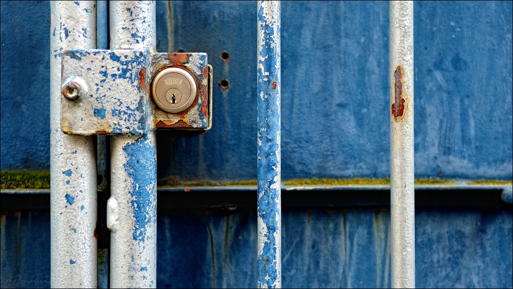 DSC 3503