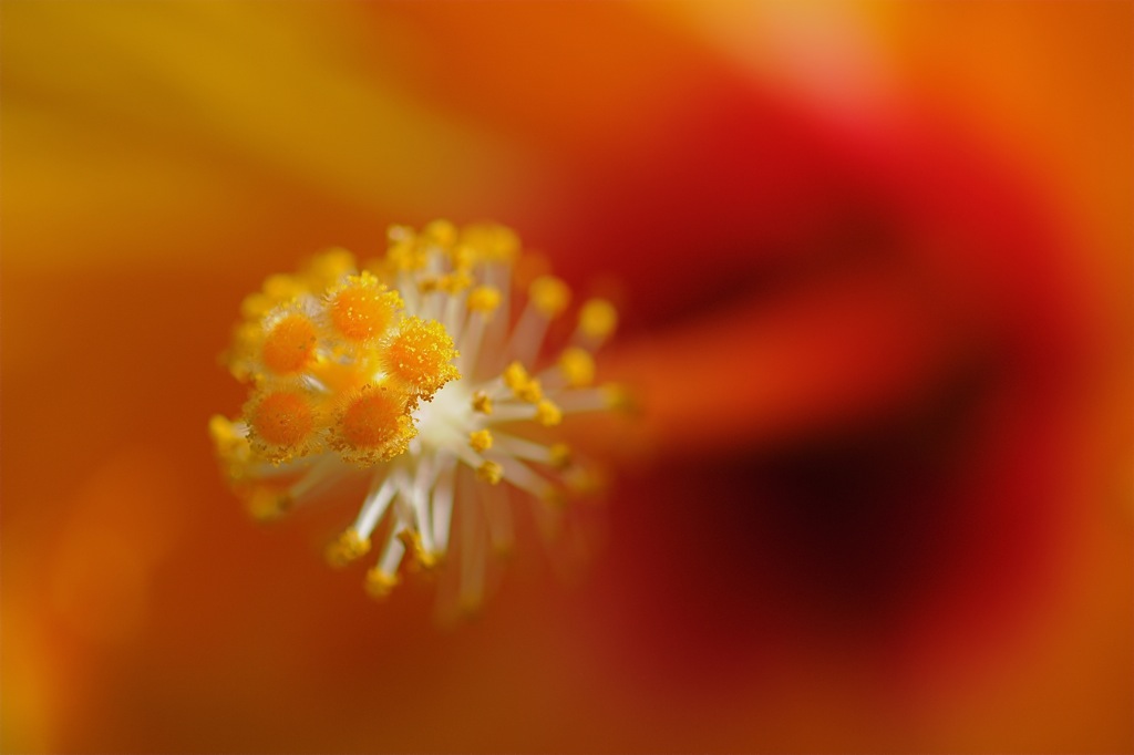 DSC 3545
