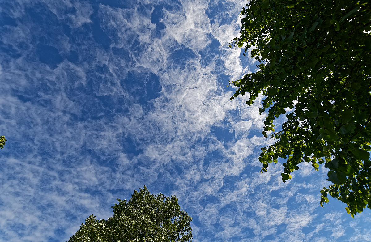 DSC 3556k