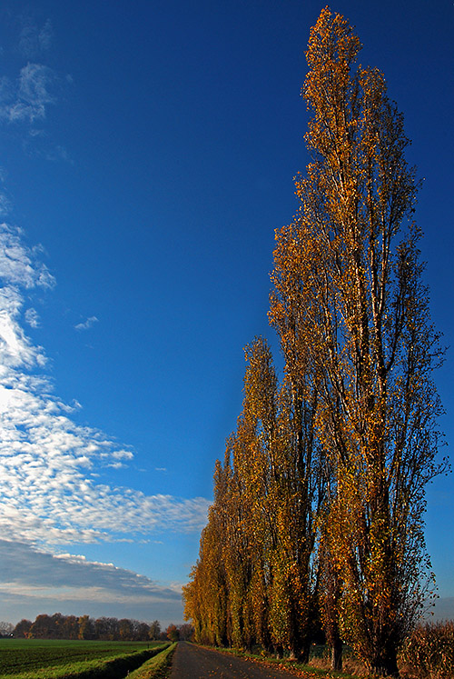 DSC 3576aa