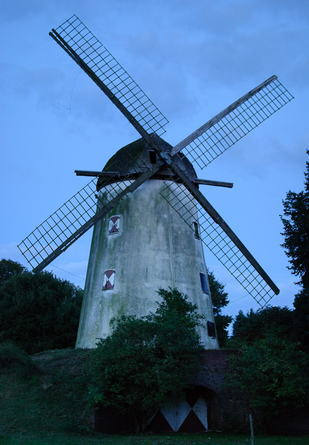 DSC 3603