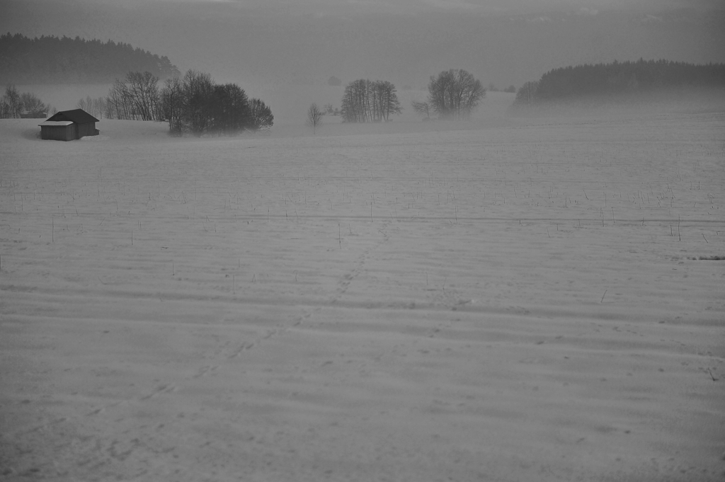 DSC 3637 web sw