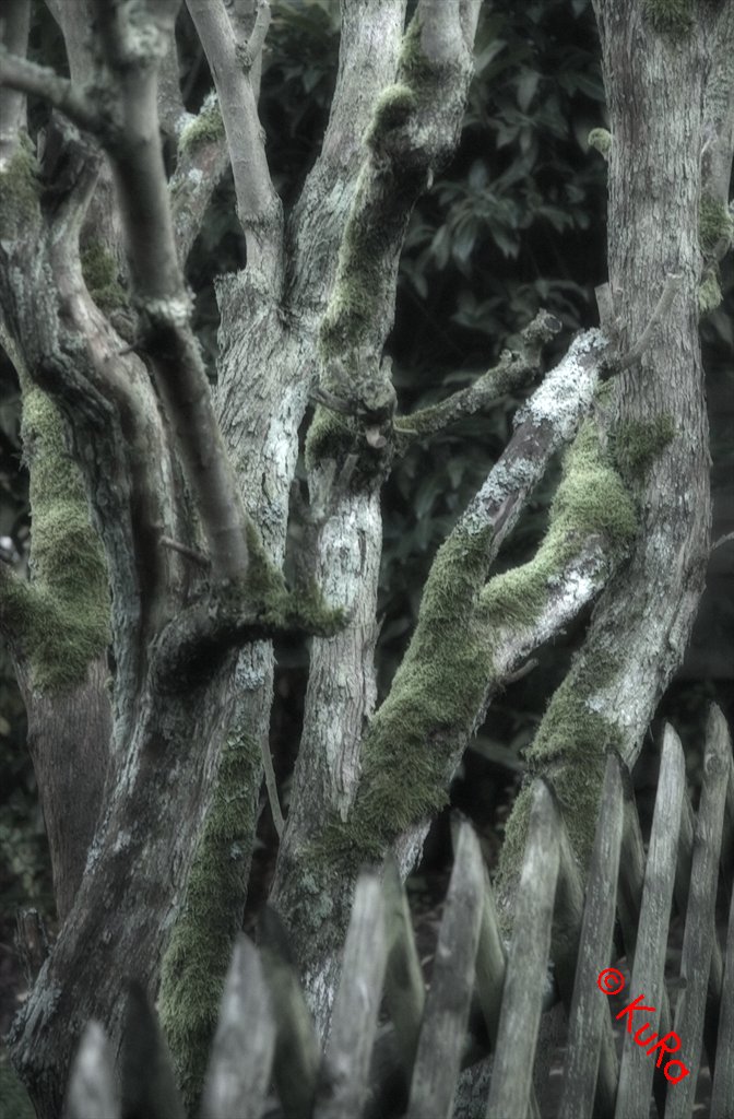DSC 3680