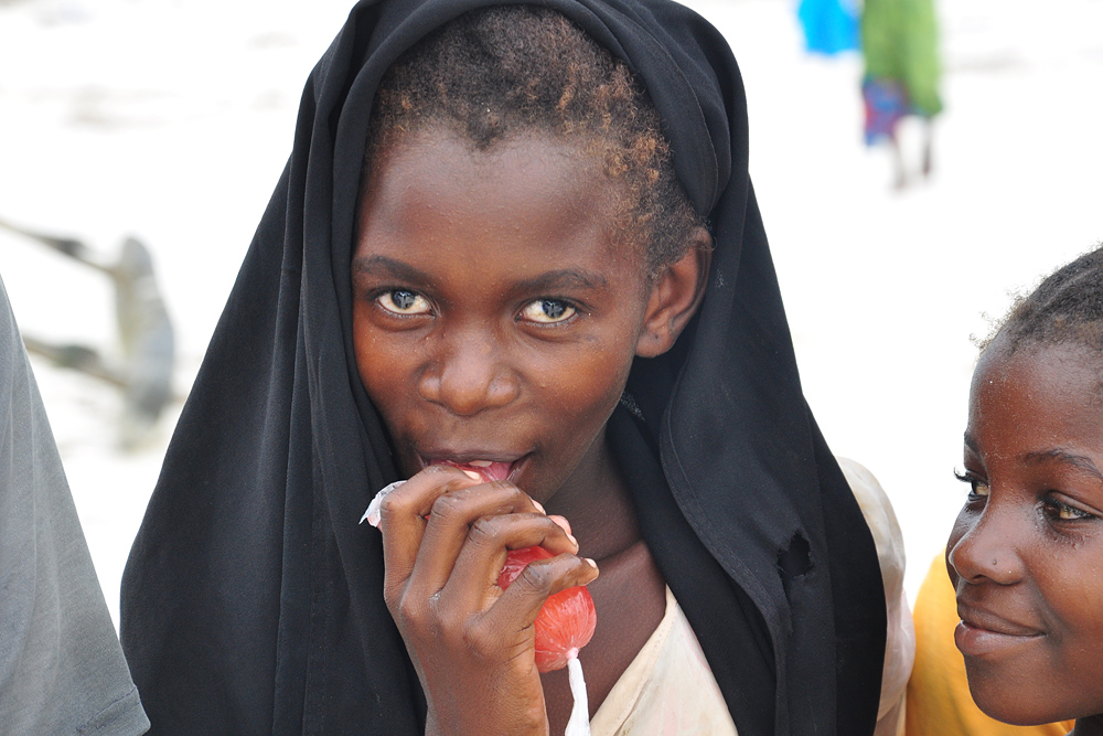 DSC 3687 1000