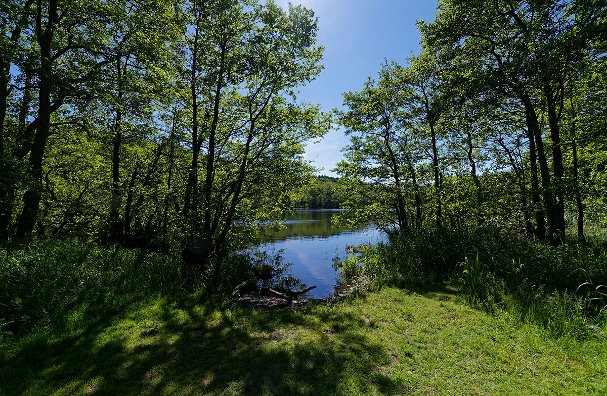 DSC 3727k
