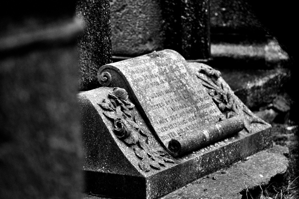 DSC 3760 edited 2