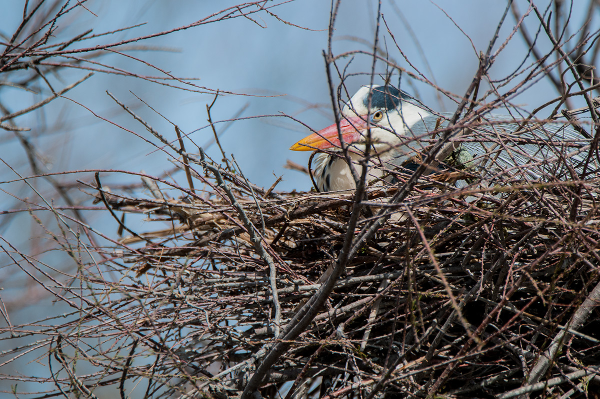 DSC 3767 Bearbeitet