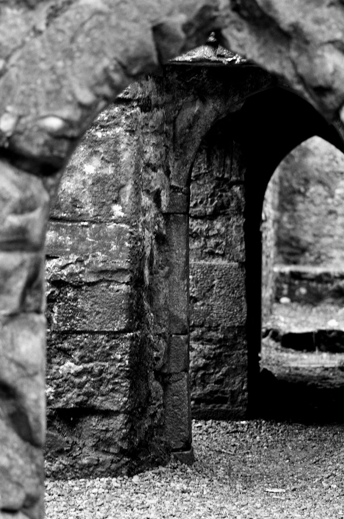 DSC 3768 edited 2