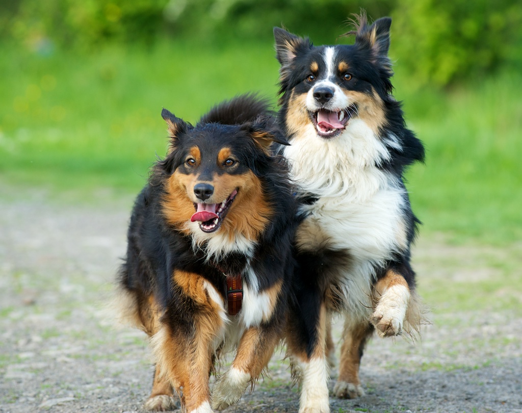 DSC 3772