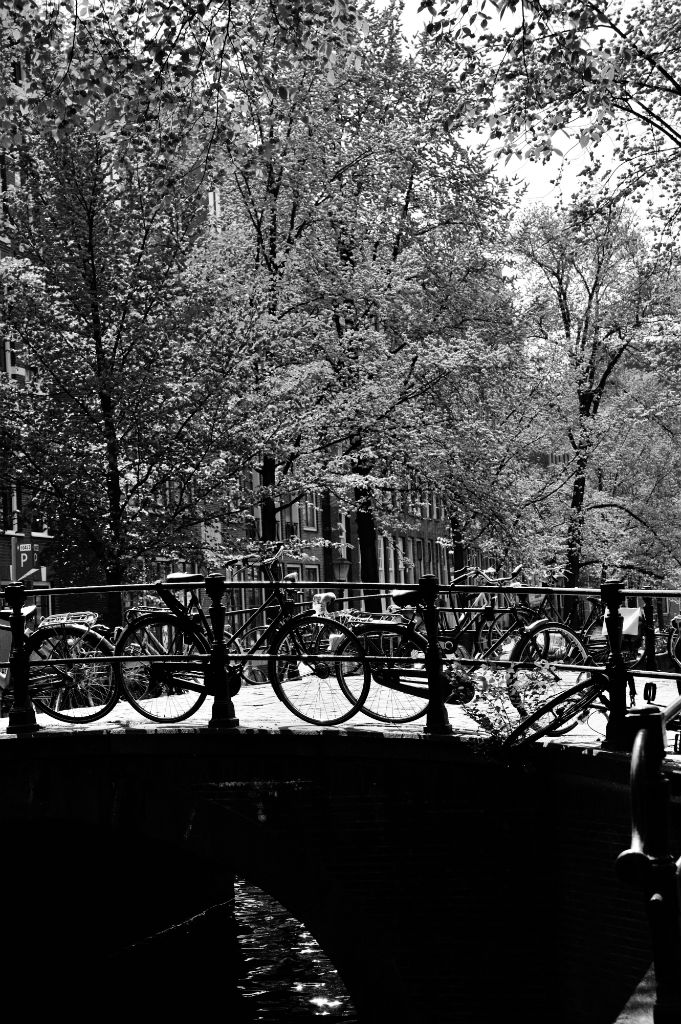 DSC 3773 bruecke 2 SW passig