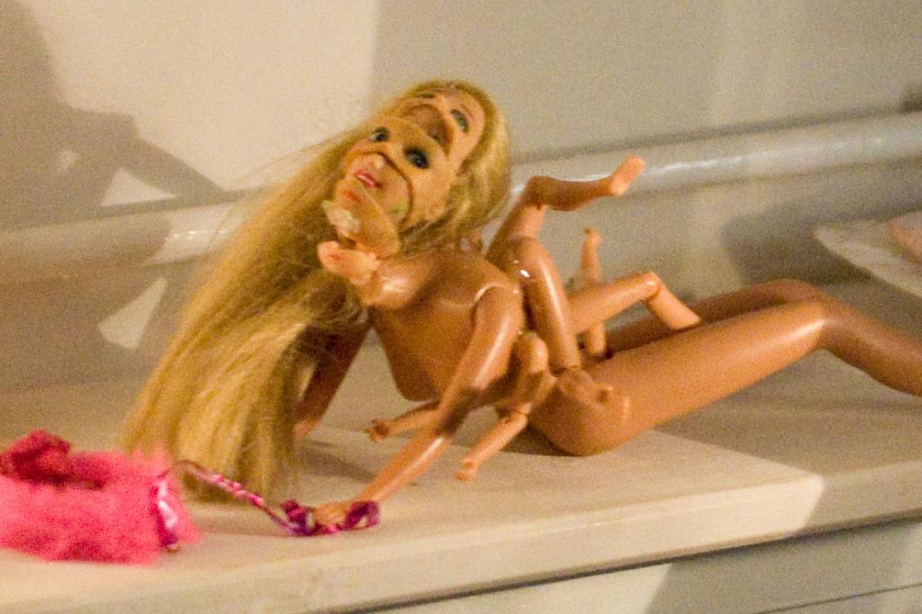 DSC 3783aus