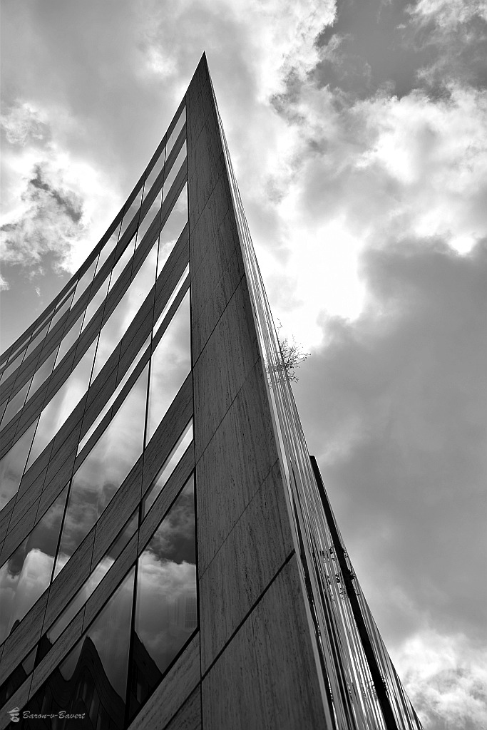 DSC 3784sw