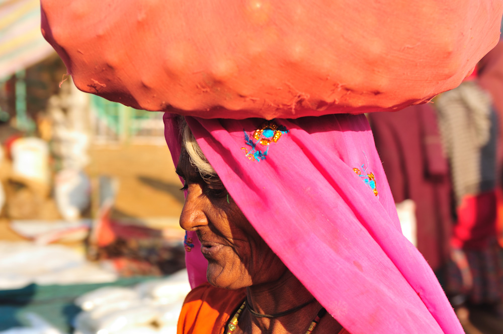 DSC 3792 Pushkar
