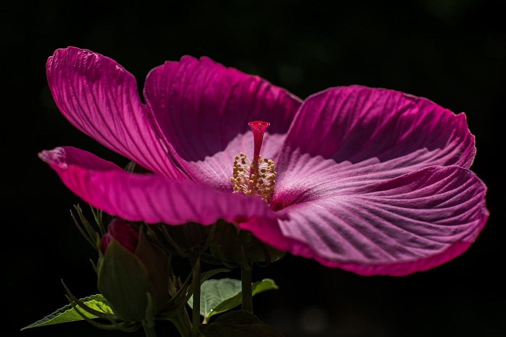 DSC 3801 01x