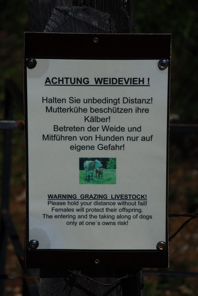 DSC 3905 Bildgröße ändern
