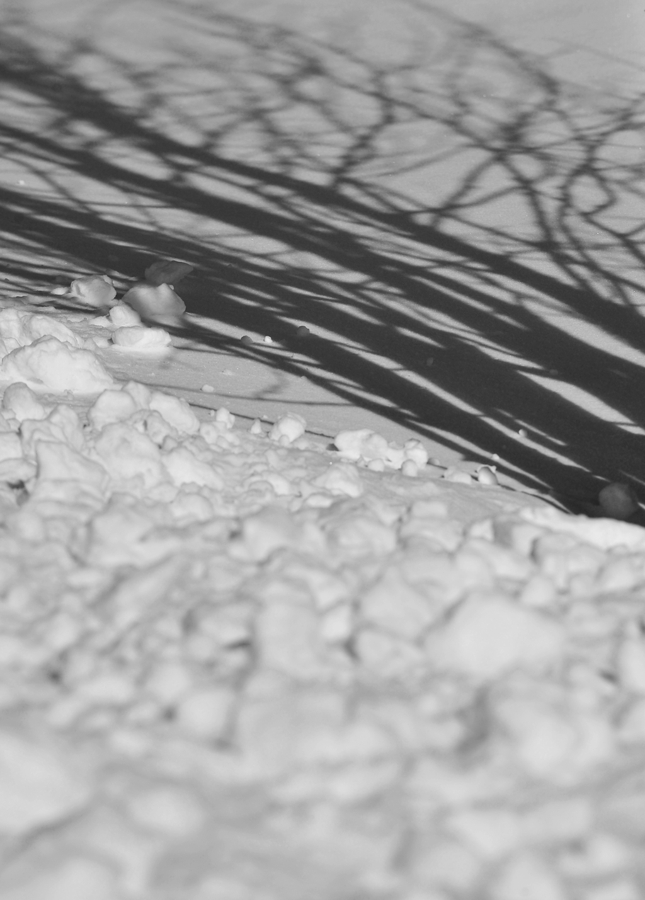 DSC 3955 crop