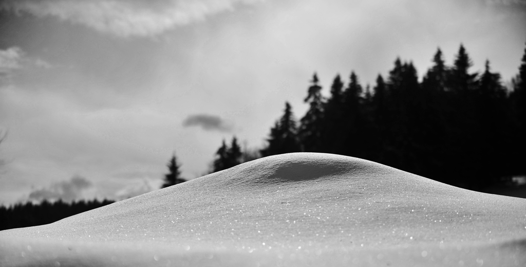 DSC 3963 crop