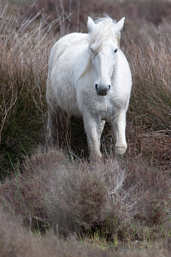 DSC 3968 Bearbeitet