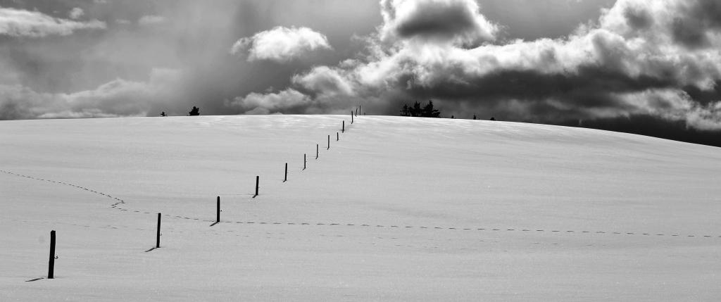 DSC 3970 crop bw