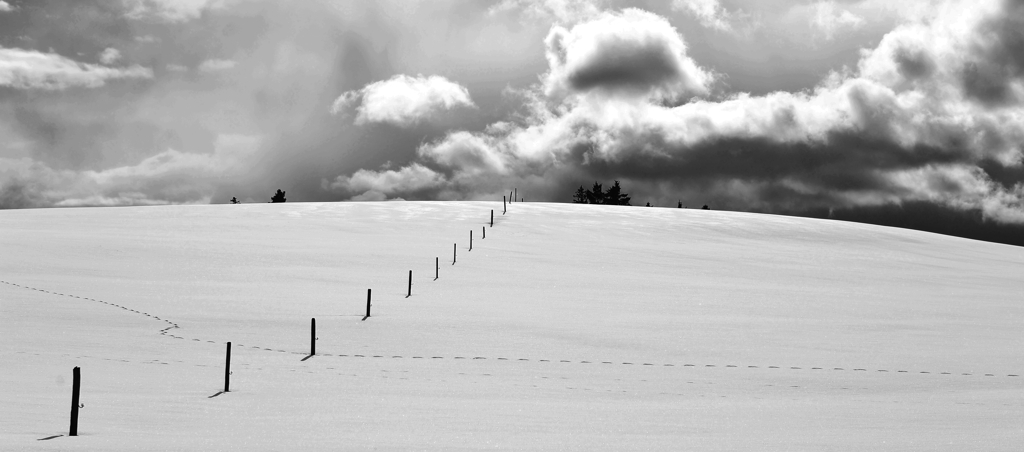 DSC 3970 crop bw