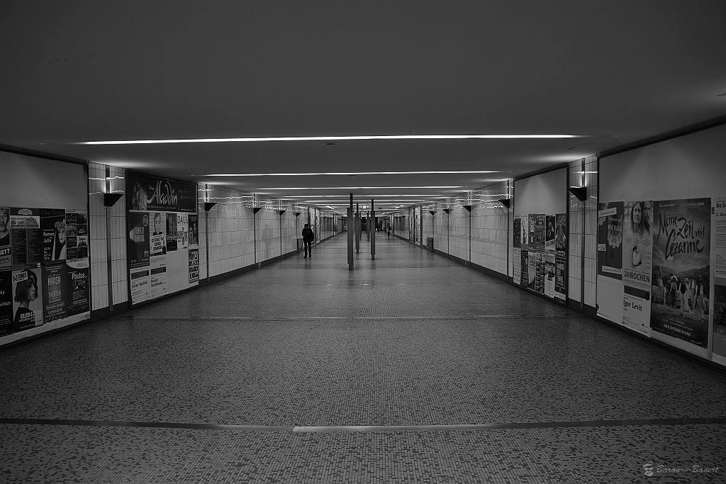 DSC 4003