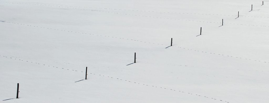 DSC 4022 crop