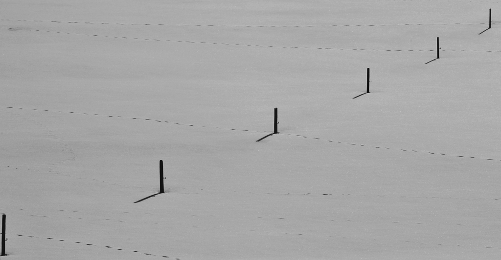 DSC 4023 crop bw