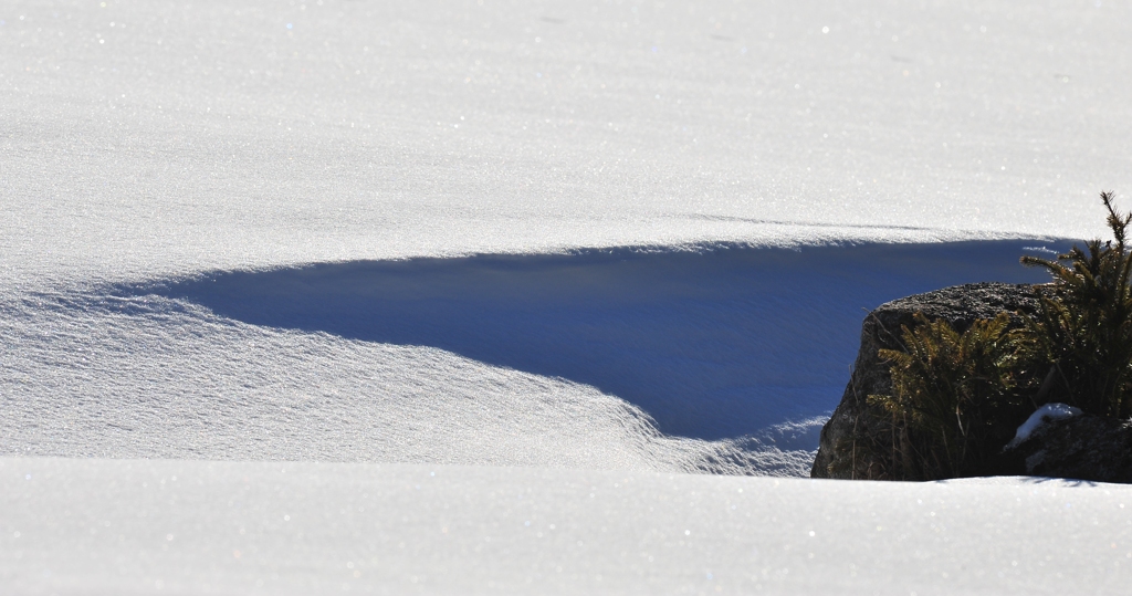 DSC 4037 crop