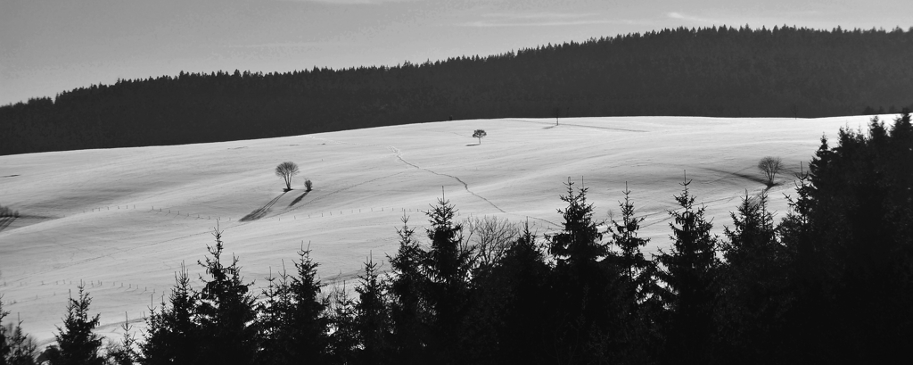 DSC 4042 crop bw
