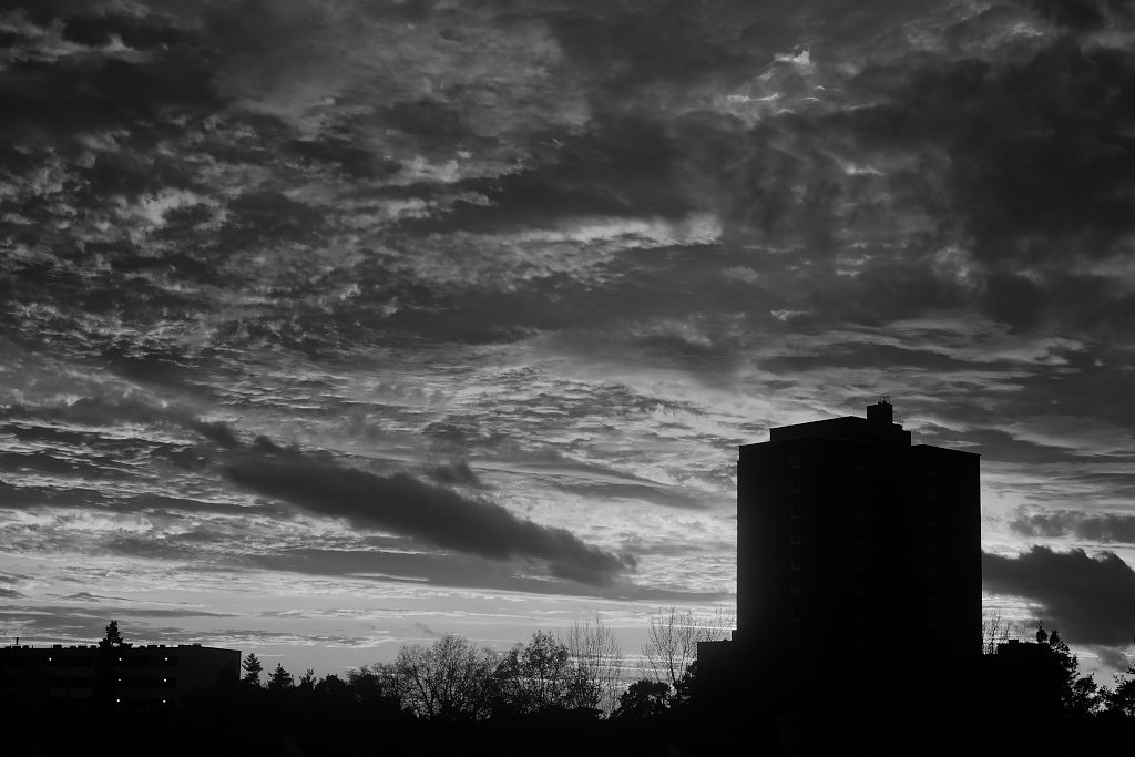DSC 4060 02