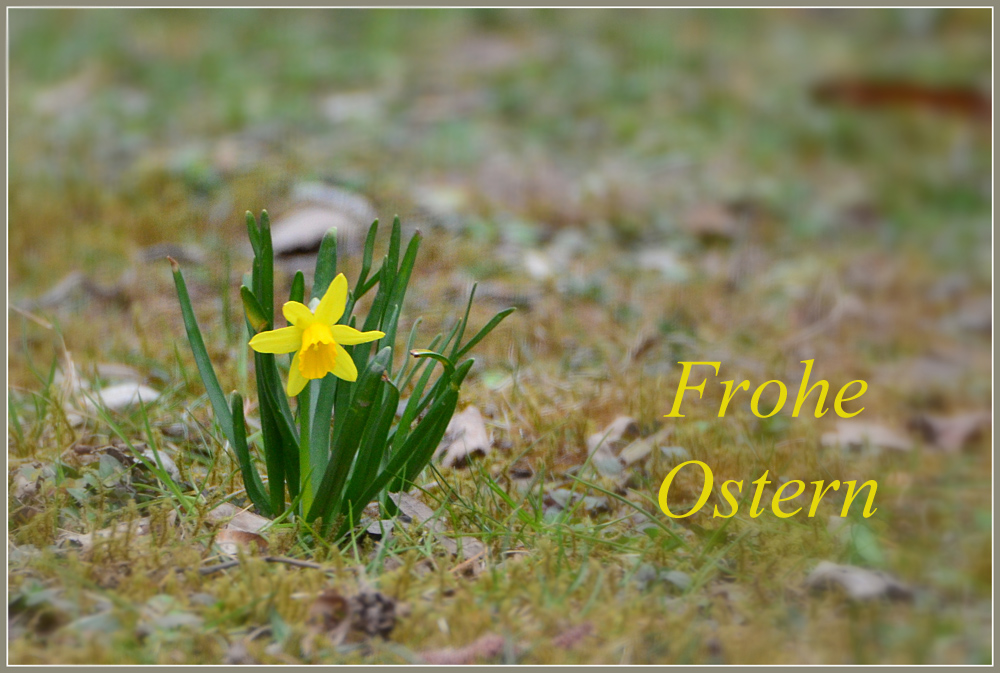 DSC 4165 Ostern