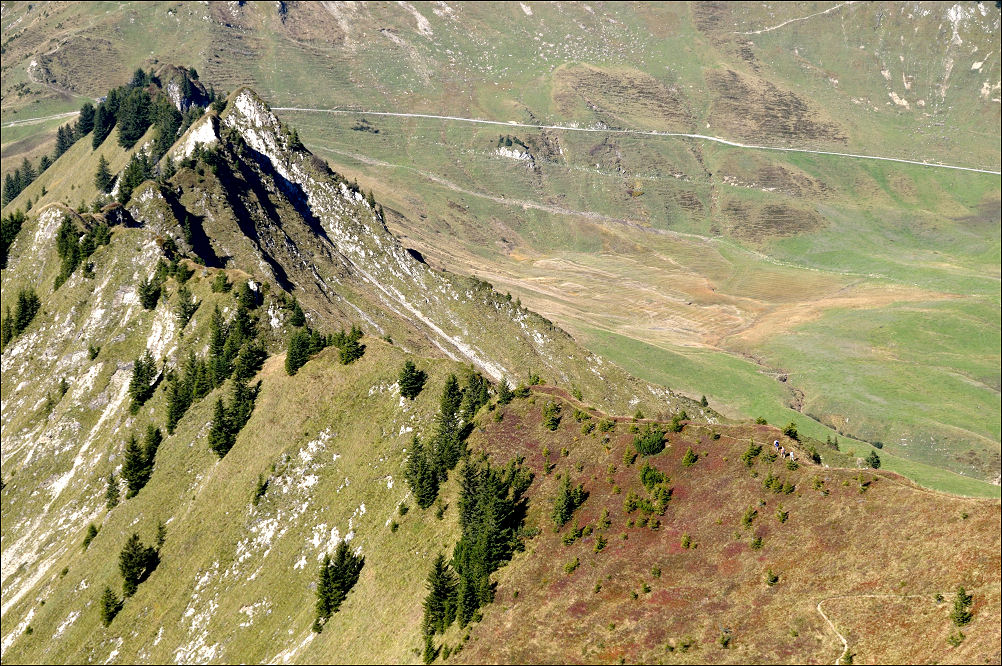 DSC 4209   Bearbeitet