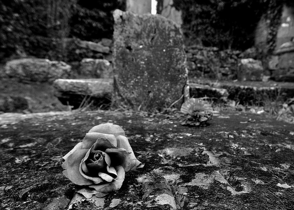 DSC 4209 copy edited 1