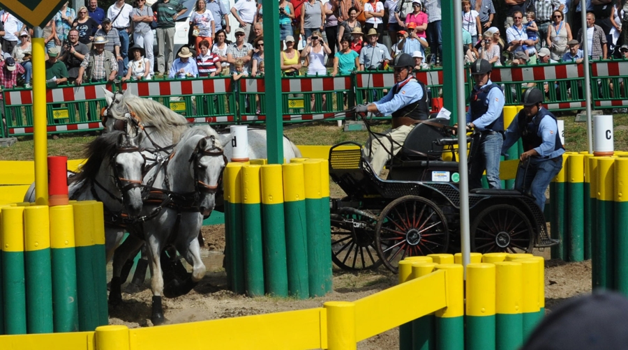 DSC 4254 web