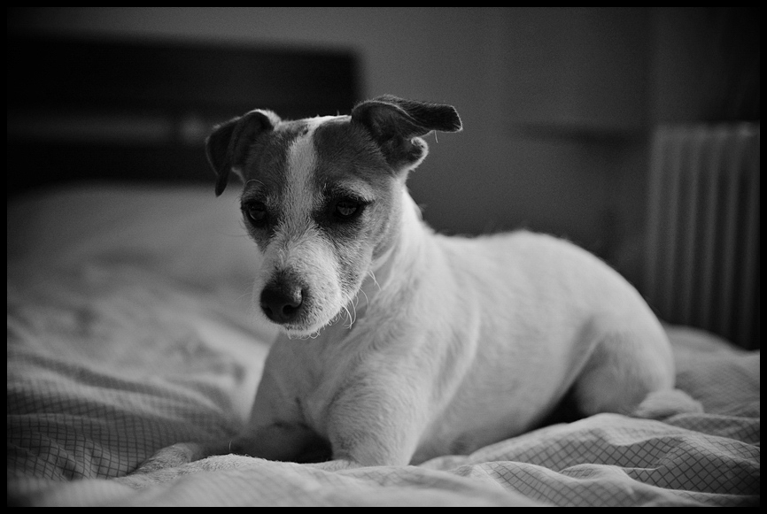 DSC 4285bwnff