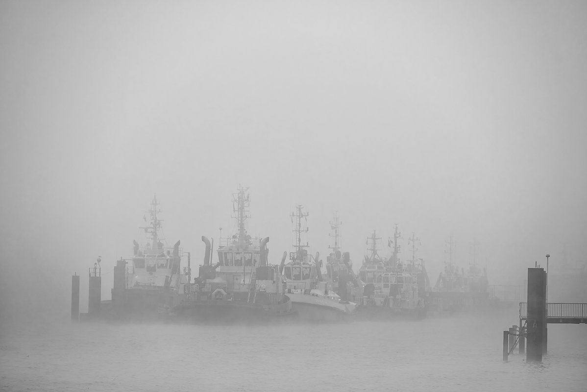 DSC 4299