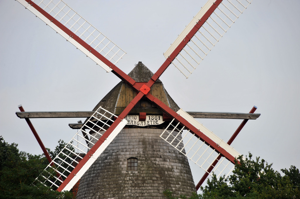 DSC 43110005