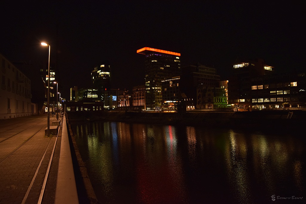 DSC 4331