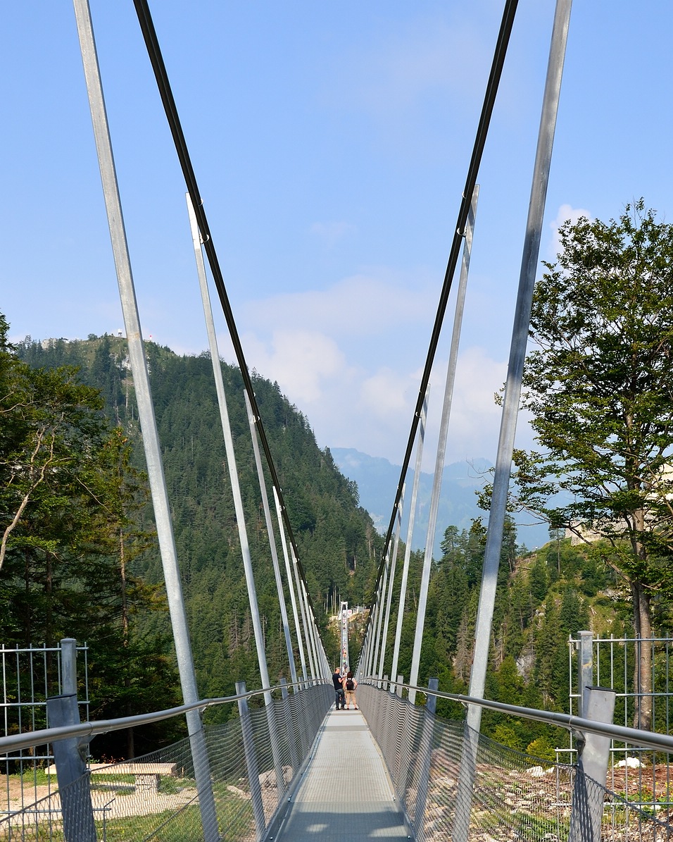 DSC 4340 C